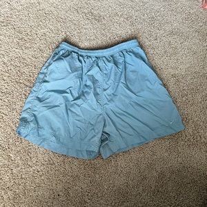VINTAGE Baby Blue Nike Nylon Shorts